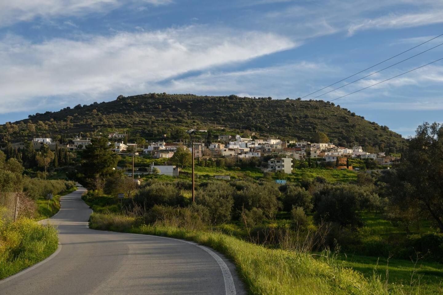 Kouses Estate Close To Matala,Komo Beach & Faistos Buitenkant foto
